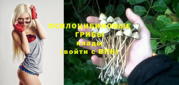 а пвп мука Алзамай
