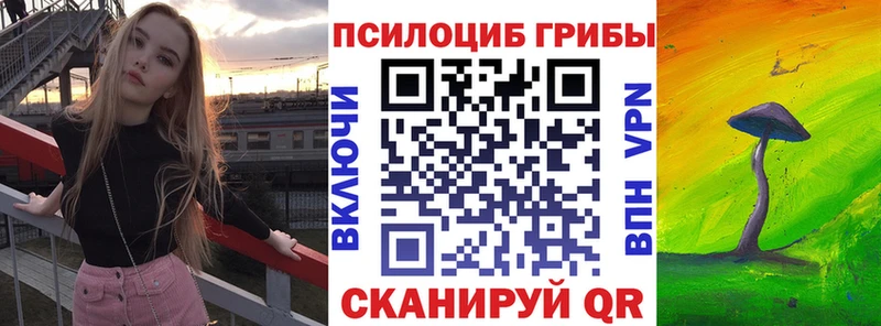 Псилоцибиновые грибы прущие грибы  сайты даркнета телеграм  Череповец 