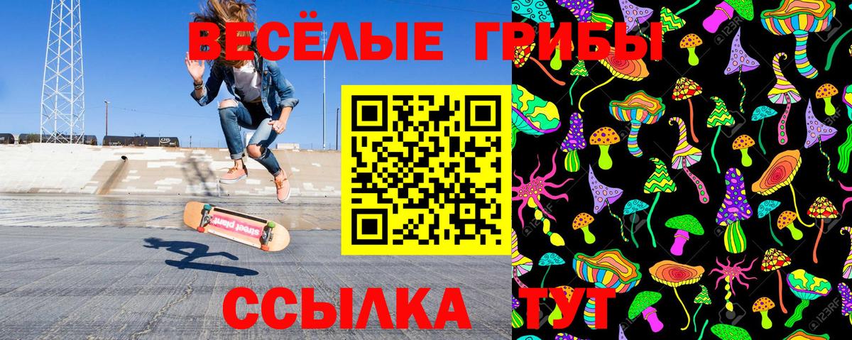 Псилоцибиновые грибы Cubensis Череповец