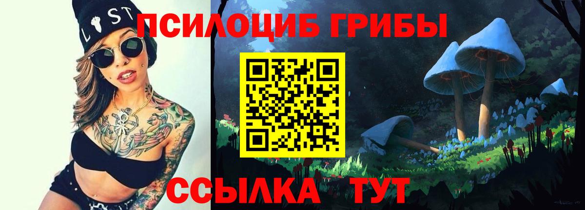 Череповец  Галлюциногенные грибы Magic Shrooms  Вход с VPN 